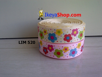 Pita LIM 520  large2